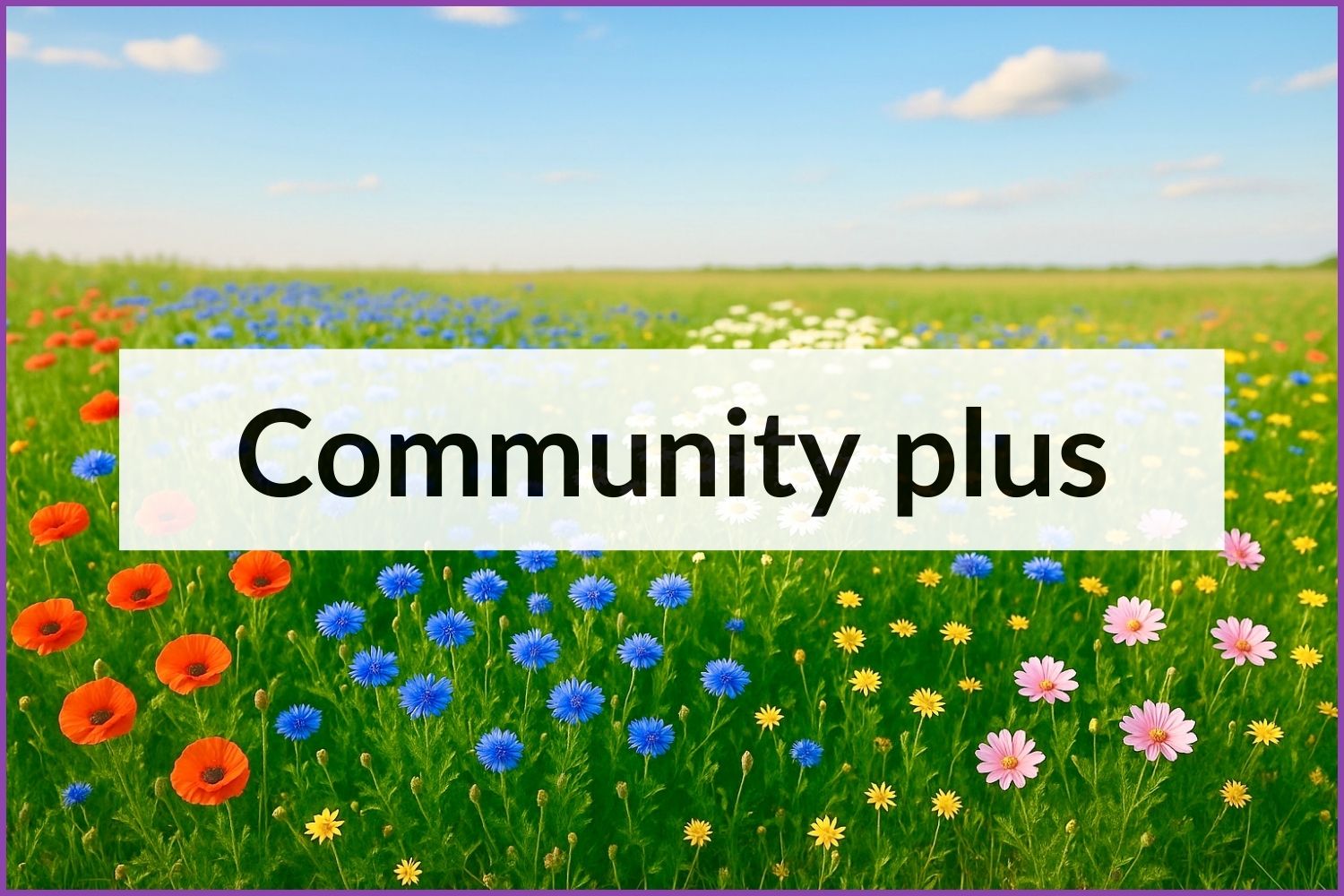 Online Live-Workshops Online Live-Workshops
