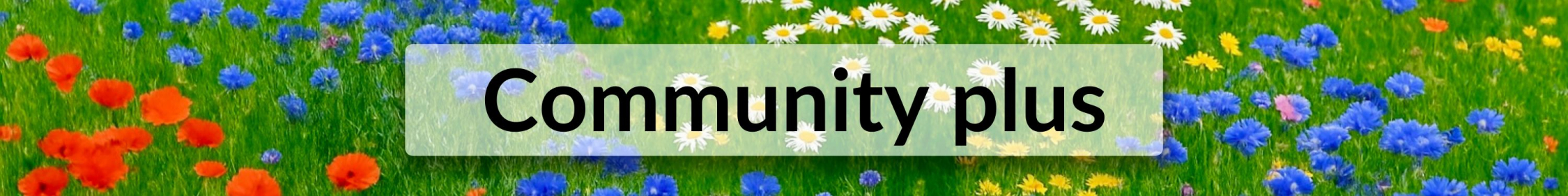 Online Live-Workshops Online Live-Workshops
